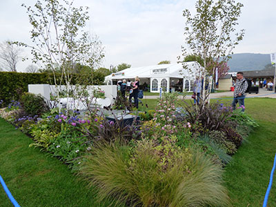 RHS Malvern Show